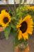 BD785B26-8D48-4385-B2EC-48BD7D3D2F69